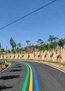 蘇州道路劃線反光漆多少錢一個(gè)平方？